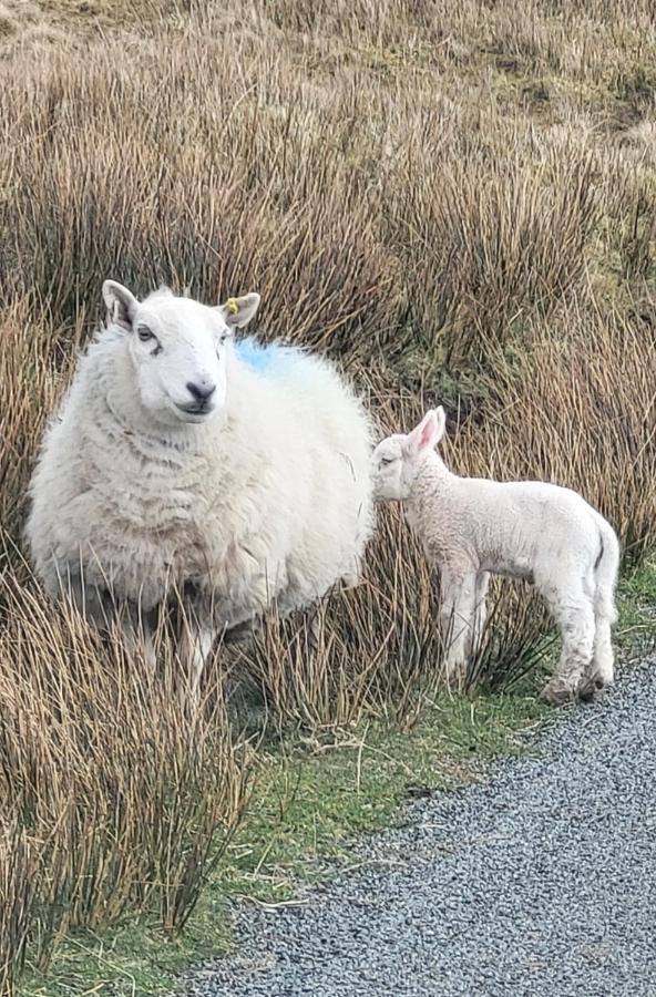 An Cnoc Bed & Breakfast Staffin Bagian luar foto